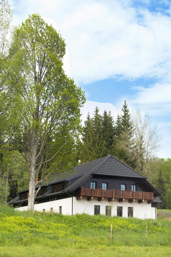 Hotel Dvur Liskovy Vrch à Strazny Extérieur photo