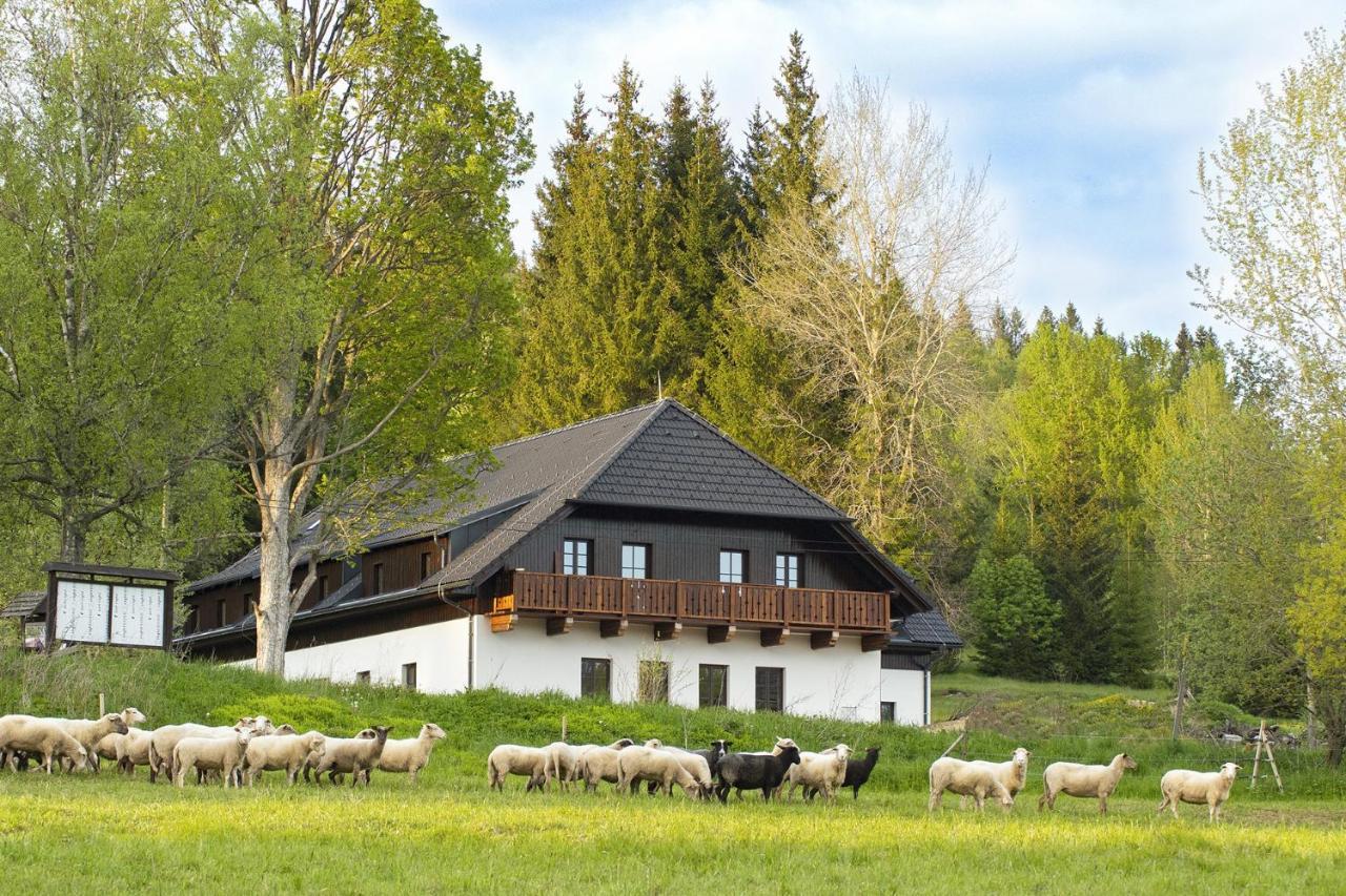 Hotel Dvur Liskovy Vrch à Strazny Extérieur photo